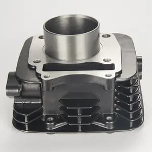 Cylinder block kit for TVS Jupiter - 3